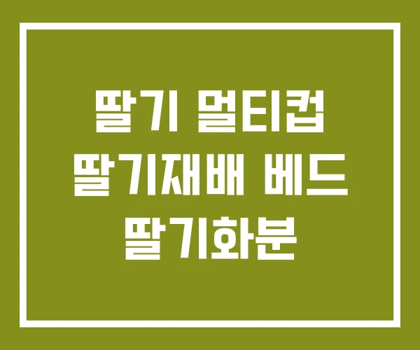 딸기 멀티컵 딸기재배 베드 딸기화분