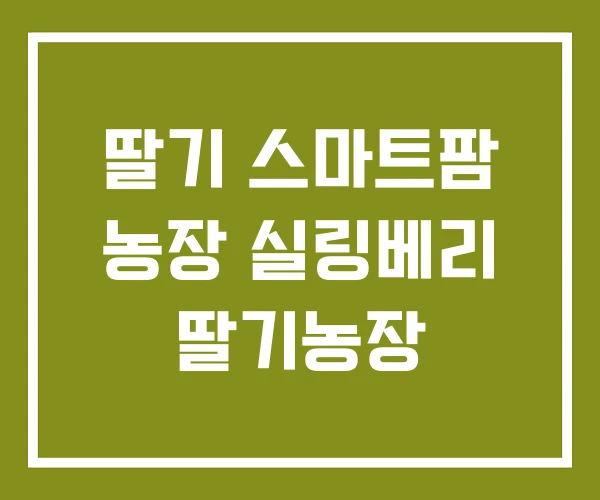 딸기 스마트팜 농장 실링베리 딸기농장