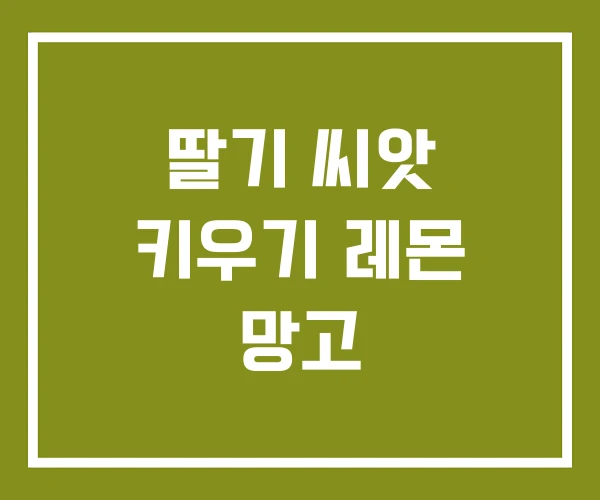 딸기 씨앗 키우기 레몬 망고