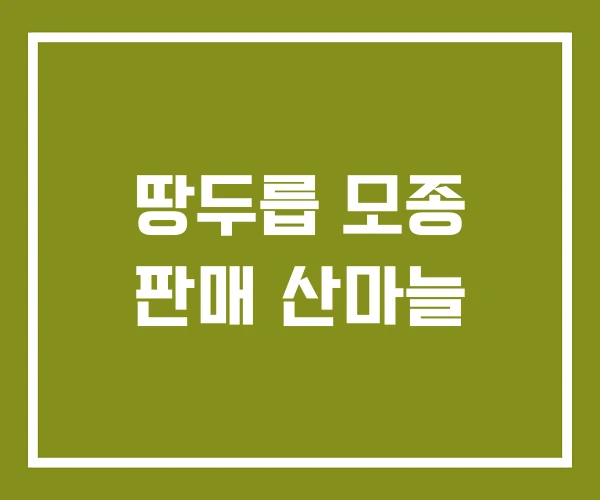 땅두릅 모종 판매 산마늘