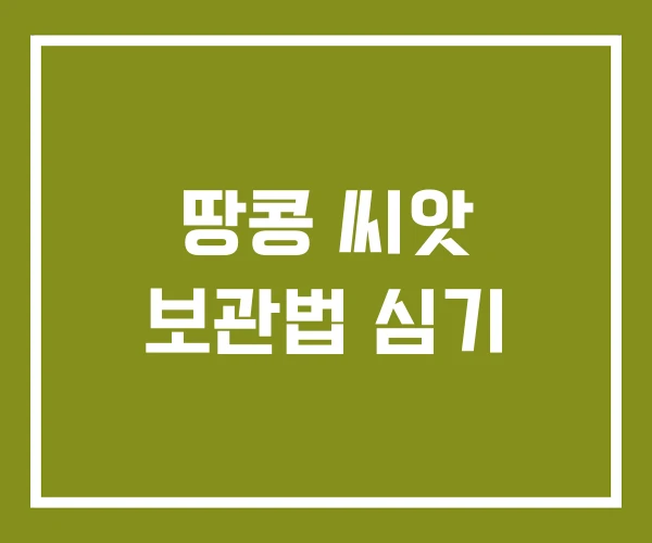 땅콩 씨앗 보관법 심기