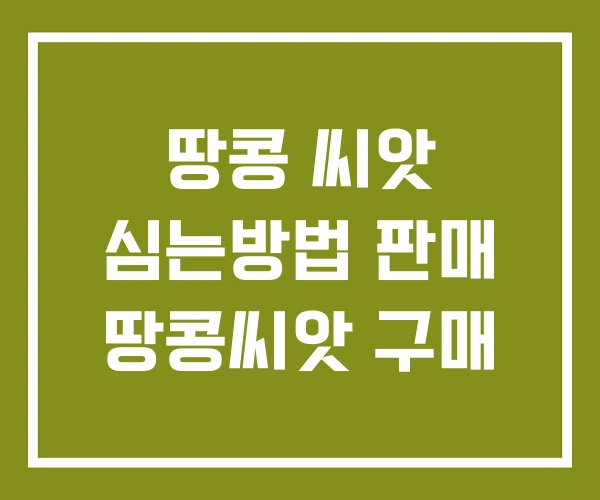 땅콩 씨앗 심는방법 판매 땅콩씨앗 구매