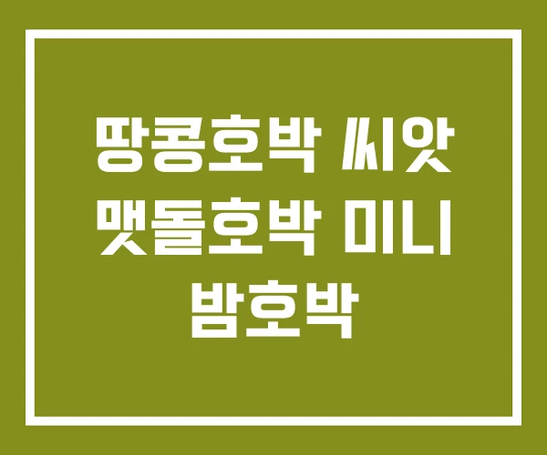 땅콩호박 씨앗 맷돌호박 미니 밤호박