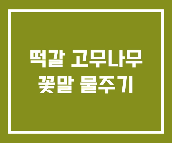 떡갈 고무나무 꽃말 물주기