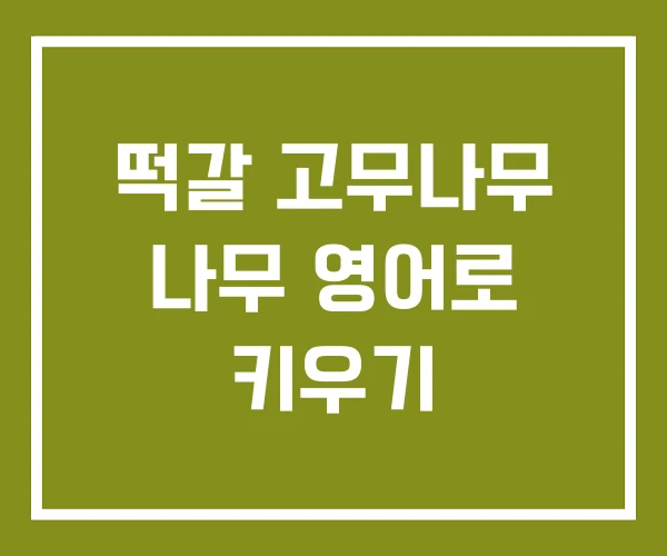 떡갈 고무나무 나무 영어로 키우기