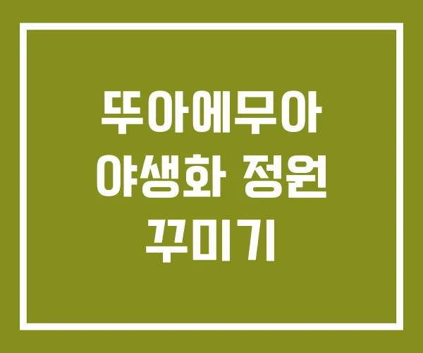 뚜아에무아 야생화 정원 꾸미기