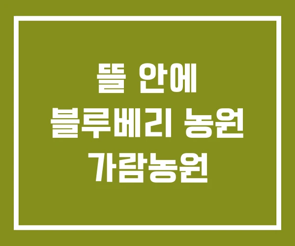 뜰 안에 블루베리 농원 가람농원