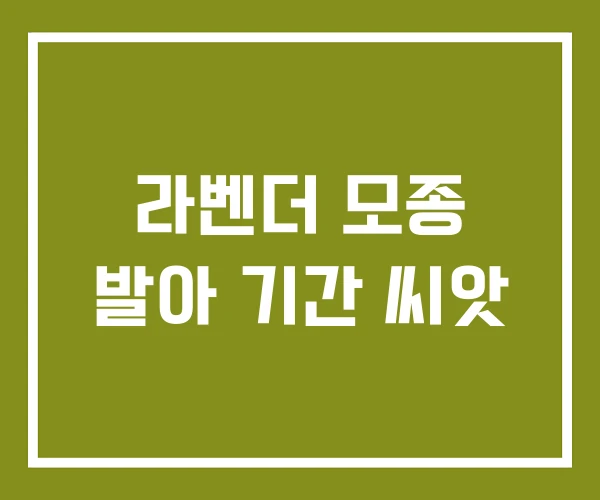 라벤더 모종 발아 기간 씨앗