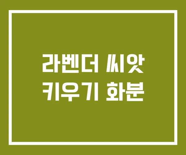 라벤더 씨앗 키우기 화분