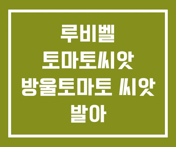 루비벨 토마토씨앗 방울토마토 씨앗 발아