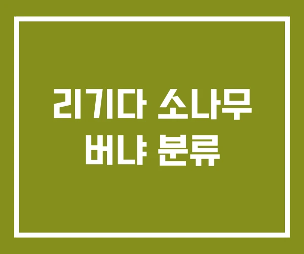리기다 소나무 버냐 분류