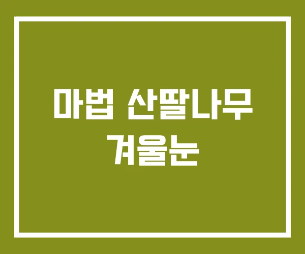 마법 산딸나무 겨울눈