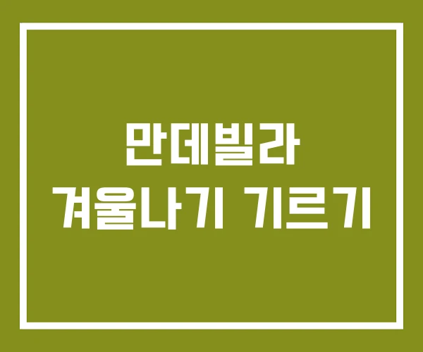 만데빌라 겨울나기 기르기