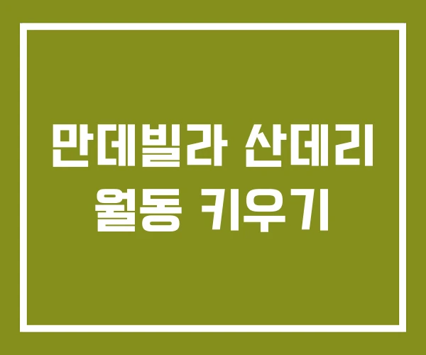 만데빌라 산데리 월동 키우기