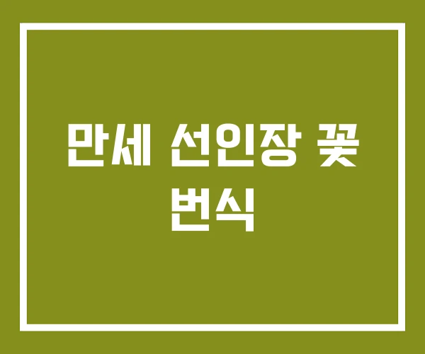 만세 선인장 꽃 번식