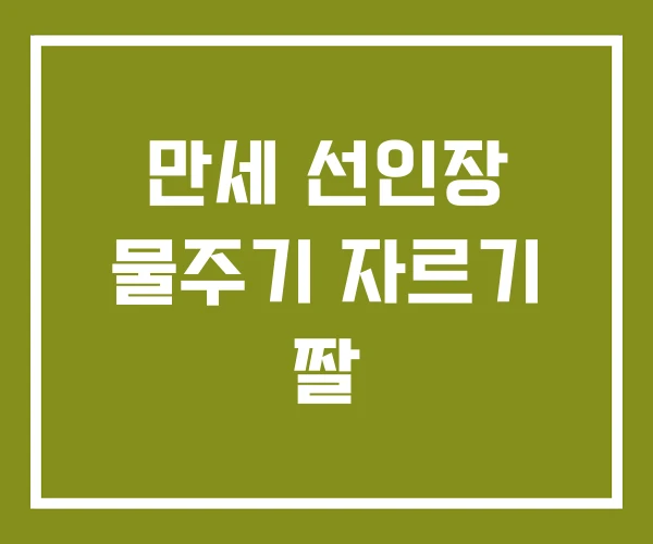 만세 선인장 물주기 자르기 짤