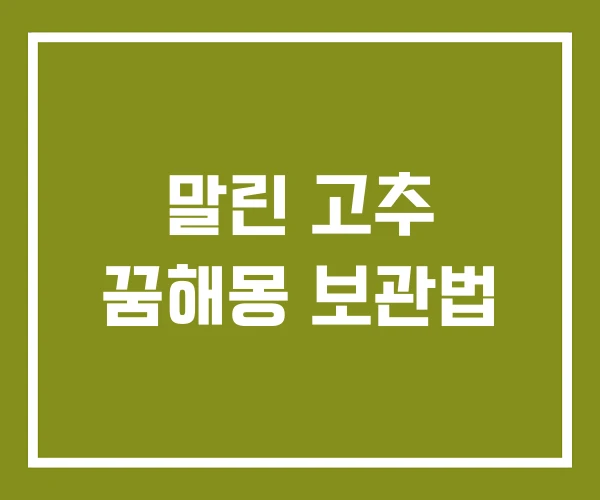 말린 고추 꿈해몽 보관법