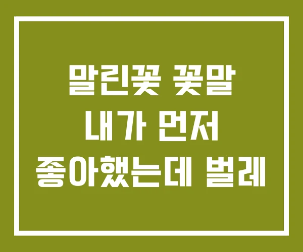 말린꽃 꽃말 내가 먼저 좋아했는데 벌레