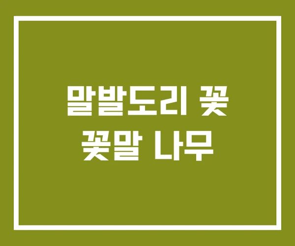 말발도리 꽃 꽃말 나무