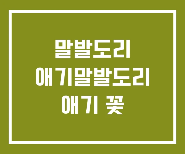 말발도리 애기말발도리 애기 꽃