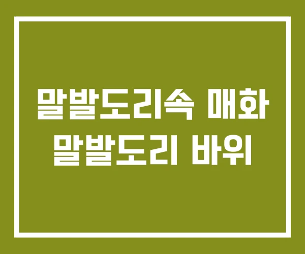 말발도리속 매화 말발도리 바위