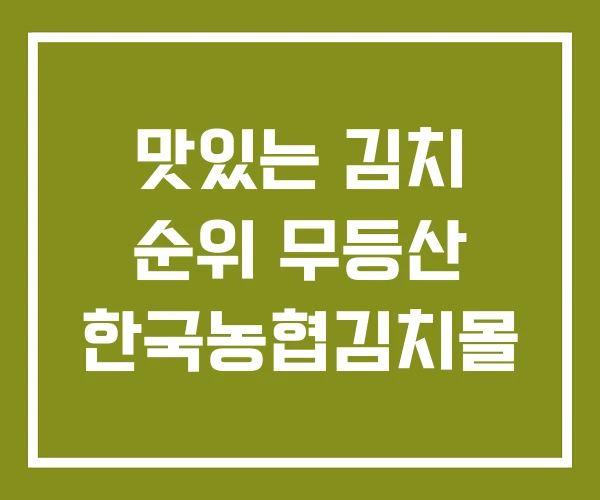 맛있는 김치 순위 무등산 한국농협김치몰