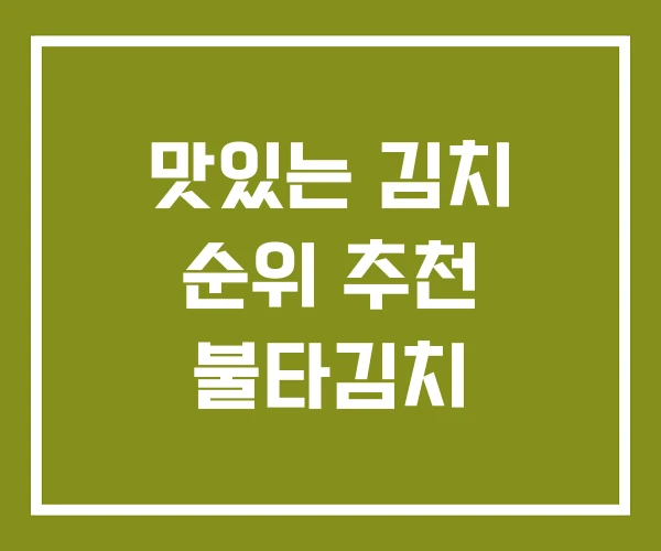 맛있는 김치 순위 추천 불타김치