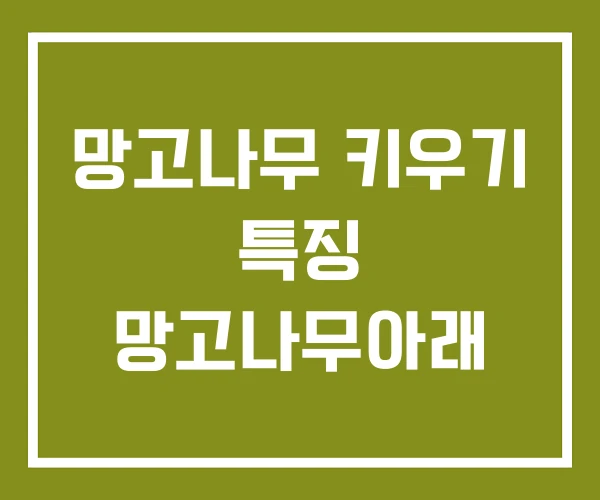 망고나무 키우기 특징 망고나무아래