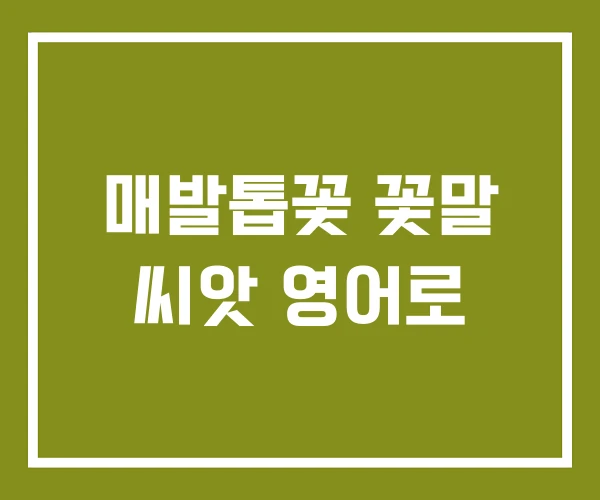 매발톱꽃 꽃말 씨앗 영어로