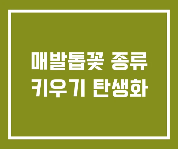 매발톱꽃 종류 키우기 탄생화