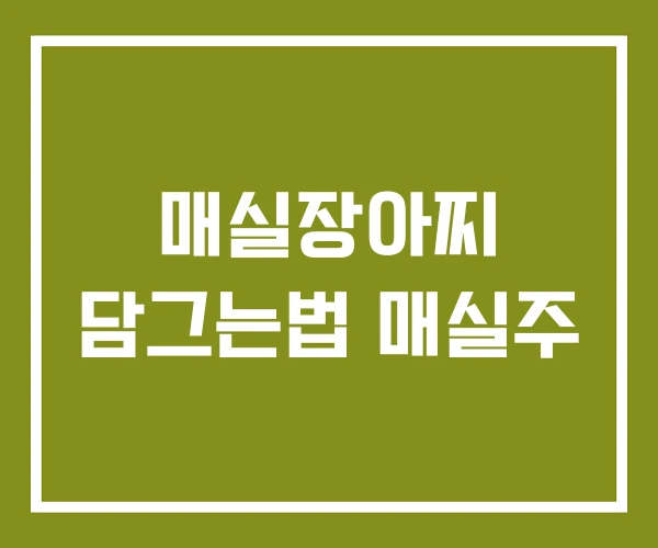 매실장아찌 담그는법 매실주