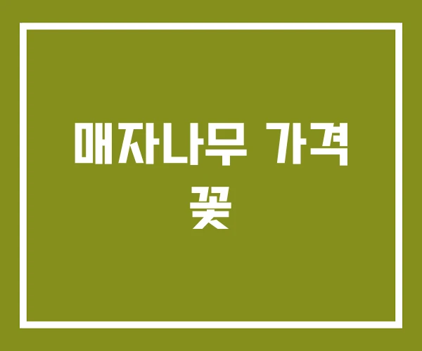 매자나무 가격 꽃