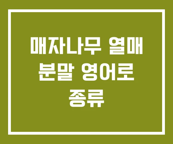 매자나무 열매 분말 영어로 종류