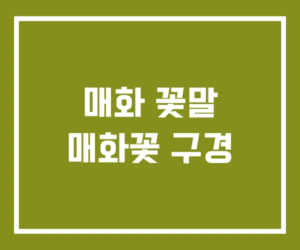 매화 꽃말 매화꽃 구경