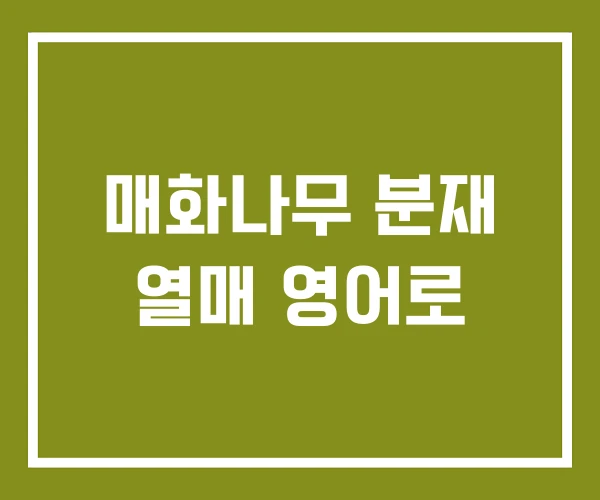 매화나무 분재 열매 영어로
