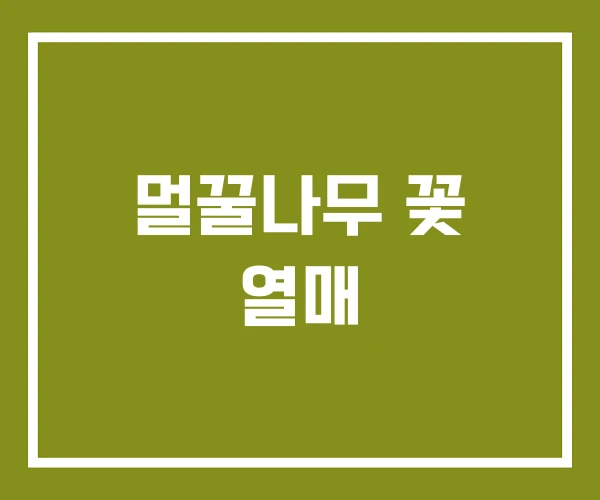 멀꿀나무 꽃 열매