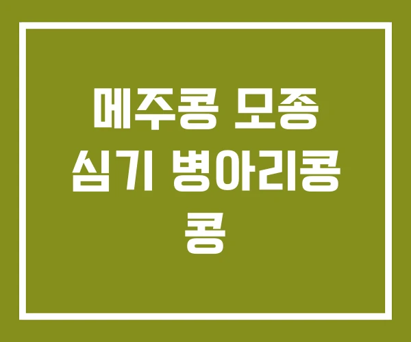 메주콩 모종 심기 병아리콩 콩
