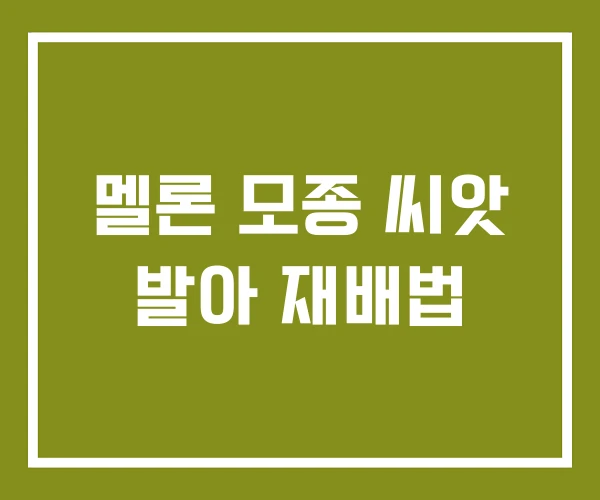 멜론 모종 씨앗 발아 재배법