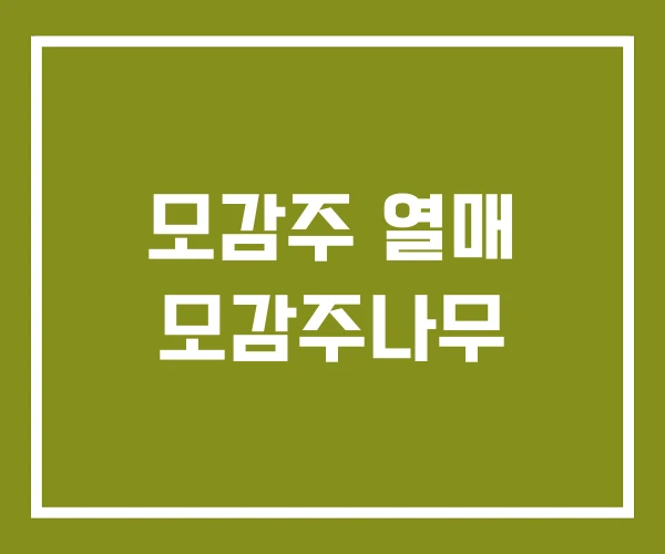 모감주 열매 모감주나무