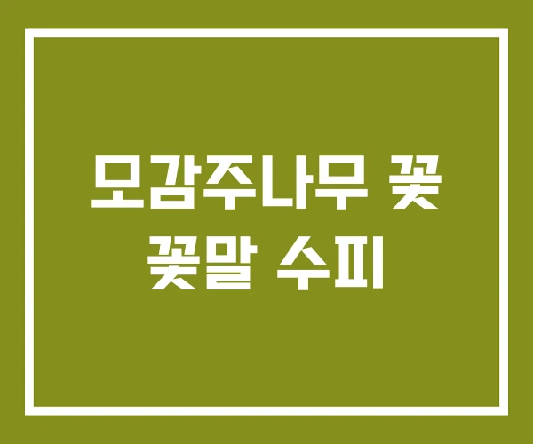 모감주나무 꽃 꽃말 수피