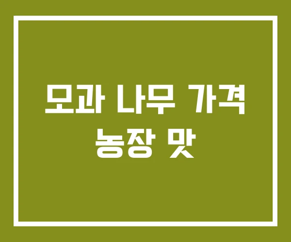 모과 나무 가격 농장 맛