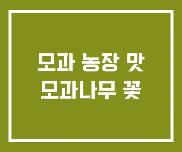 모과 농장 맛 모과나무 꽃