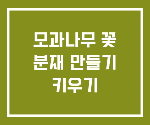 모과나무 꽃 분재 만들기 키우기