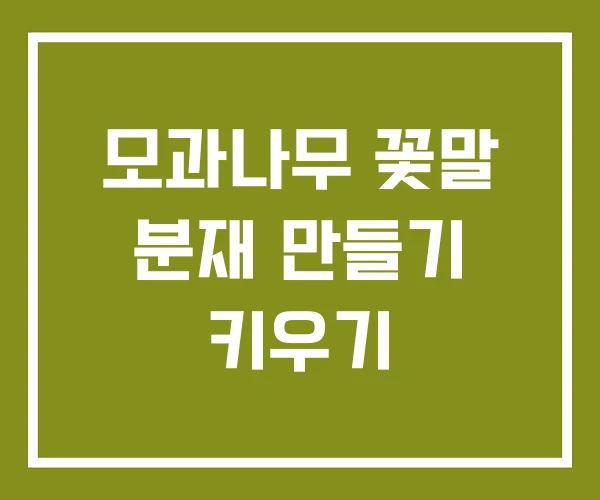 모과나무 꽃말 분재 만들기 키우기