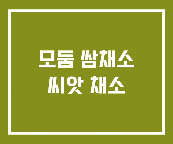 모둠 쌈채소 씨앗 채소