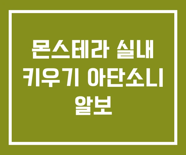 몬스테라 실내 키우기 아단소니 알보