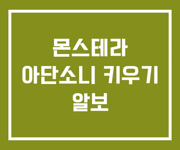 몬스테라 아단소니 키우기 알보