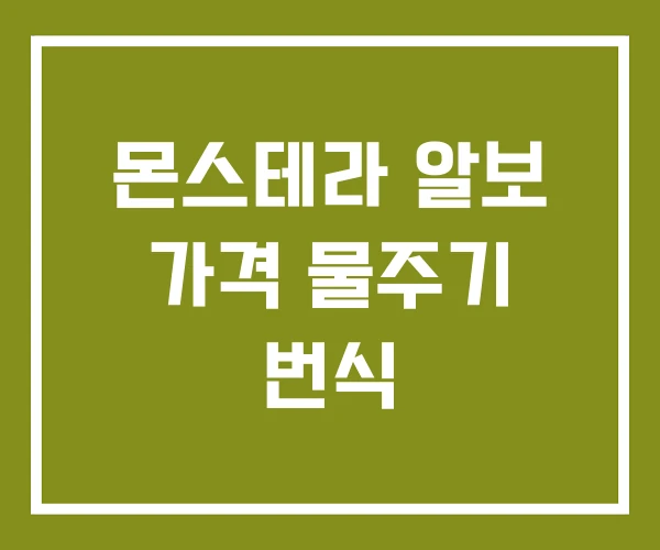 몬스테라 알보 가격 물주기 번식