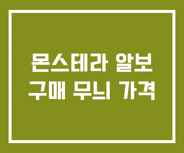 몬스테라 알보 구매 무늬 가격