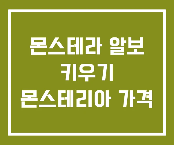 몬스테라 알보 키우기 몬스테리아 가격